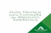 Guía Técnica para Consulta de Atención Telefónica