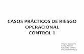 CASOS PRÁCTICOS DE RIESGO OPERACIONAL