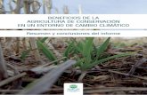 BENEFICIOS DE LA AGRICULTURA DE CONSERVACIÓN EN UN …