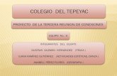 COLEGIO DEL TEPEYAC - Conexiones DGIRE
