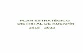 PLAN ESTRATÉGICO DISTRITAL DE KUSAPÍN 2018 -2022