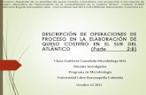 DESCRIPCIÓN DE OPERACIONES DE PROCESO EN LA ELABORACIÓN DE ...