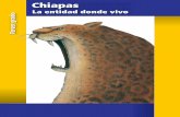 3 Chiapas - nemdigitalstorage.blob.core.windows.net