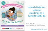 Lactancia Materna y Lactarios Importancia en el Contexto ...