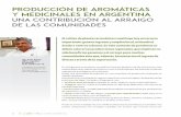 PRODUCCIÓN DE AROMÁTICAS Y MEDICINALES EN ARGENTINA