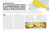 Banano orgánico: Crecimiento continuo en un contexto aún ...