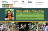 Adriana Escobedo Aguilar, M.Sc.