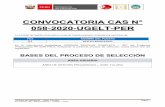 CONVOCATORIA CAS N° 058-2020-UGELT-PER