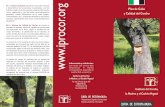 Un Informe Selvícola  - Extremadura