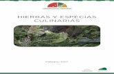 HIERBAS Y ESPECIAS CULINARIAS - Mercado Modelo
