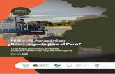 Hidrovía Amazónica: ¿Buen negocio para el Perú?