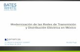 Modernización de las Redes de Transmisión y Distribución ...
