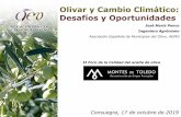 Asociación Española de Municipios del Olivo. AEMO