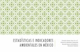 ESTADÍSTICAS E INDICADORES AMBIENTALES EN MÉXICO