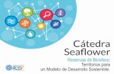 Comportamiento de la economía en Seaflower: retos hacia la ...