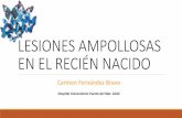 LESIONES AMPOLLOSAS EN EL RECIÉN NACIDO - SPAOYEX