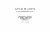 020 Cladistica Homo - aragosaurus.com