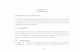 CAPITULO IV CULMINACION 1. DESARROLLO DEL PROYECTO
