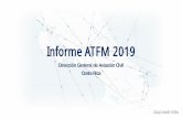 Informe ATFM 2019 - ICAO