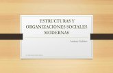LAS ORGANIZACIONES SOCIALES MODERNAS