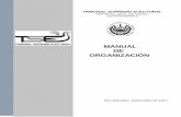 MANUAL DE ORGANIZACIÓN - tse.gob.sv