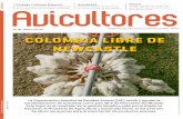 COLOMBIA LIBRE DE NEWCASTLE
