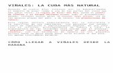 VIÑALES: LA CUBA MÁS NATURAL