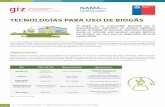 TECNOLOGÍAS PARA USO DE BIOGÁS - DiBiCoo
