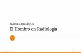 El Hombro en Radiología