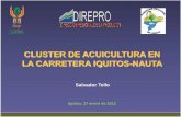 CLUSTER DE ACUICULTURA EN LA CARRETERA IQUITOS-NAUTA