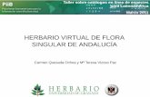 Herbario Virtual de Flora Singular de Andalucía
