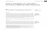 Suelos antrópicos vs. naturales: La Costa 2 (Valle de Tafí ...