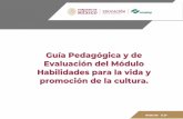 Guía Pedagógica y de Evaluación del Módulo Habilidades ...