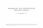 MANUAL DE PROCESOS BECAS CHILE
