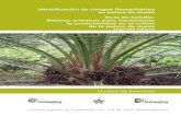 Identificación de riesgos fitosanitarios en palma de aceite