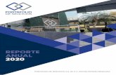 REPORTE ANUAL 2020 - Portafolio de Negocios