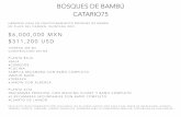 BOSQUES DE BAMBÚ CATARIO75