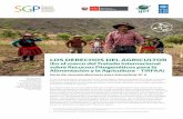 LOS DERECHOS DEL AGRICULTOR (En el marco del Tratado ...