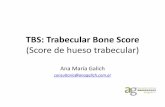 TBS: Trabecular Bone Score