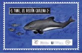 Toni, el delfín chileno