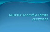 Multiplicación de Vectores.