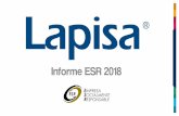 Informe ESR 2018 - Lapisa