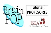 ¿Cómo se organiza una lección de BrainPOP?