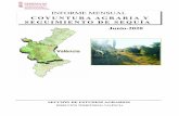 Resumen climático mensual en la Comunidad Valenciana