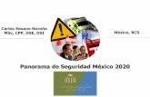 Panorama de Seguridad México 2020 - ANTAD