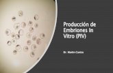 Producción de Embriones In Vitro (PIV)