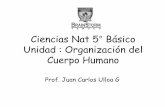 Ciencias Nat5 Básico Unidad : Organización del Cuerpo Humano