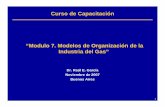 “Modulo 7. Modelos de Organización de la Industria del Gas”