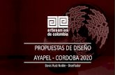 PROPUESTAS DE DISEÑO AYAPEL - CORDOBA 2020
