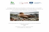 Ecología trófica de aves del género Catharacta spp. y su ...